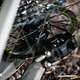 Am Hinterrad wird der Geschwindigkeitssensor versteckt