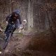 Schon sehr schnell zeigt sich, dass die TRP Evo Pro genug Bremspower hat, um das Cannondale Moterra LT zum stehen zu bringen