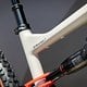 Grundsätzlich teilen sich die Alu-Varianten ihre Eigenschaften mit dem Carbon Limited-Modell …