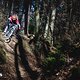 Ich sage es ganz offen: Auf den Trails, die ich mit dem Transition Regulator CX gefahren bin, war es eine echte Offenbarung!