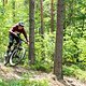 Foto Chris Spath Rotwild REX-64
