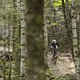 Nach einem ewig langen Uphilltransfer ging es in die letzten beiden Stages des Tages, die an einem Nordhang lagen.