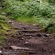 Wir können es gar nicht oft genug wiederholen: Die Trails ...