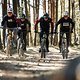 Die E-Bike Gang, die dir gleich dein Pausenbrot abzieht
