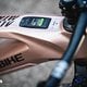 Haibike AllMtn Pinion DSC 8772