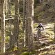 Auf den anderen Stages des Tages ging es eher durch Wälder und, wie immer, über Stock und Stein.