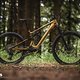 Specialized Levo SL Expert – ein Light-E-MTB der ersten Stunde in zweiter Generation.