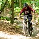 Foto Chris Spath Rotwild REX-73