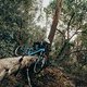 Bosch-eBike-Leissure-Liguria-MY2025-2630