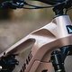 Haibike AllMtn Pinion DSC 8786