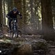 BH iLYNX TRAIL 2025 PSturm-11