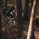 Rocky-Mountain-Instinct-PP-SL-Dyname-S4-Lite-Motor-Firmware-Update-Trail-01-web-res